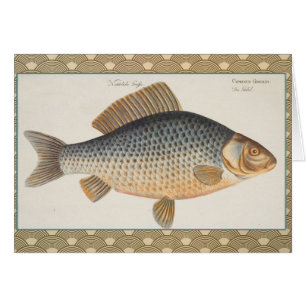 peinture de pêche de carpe dessin d'eau douce