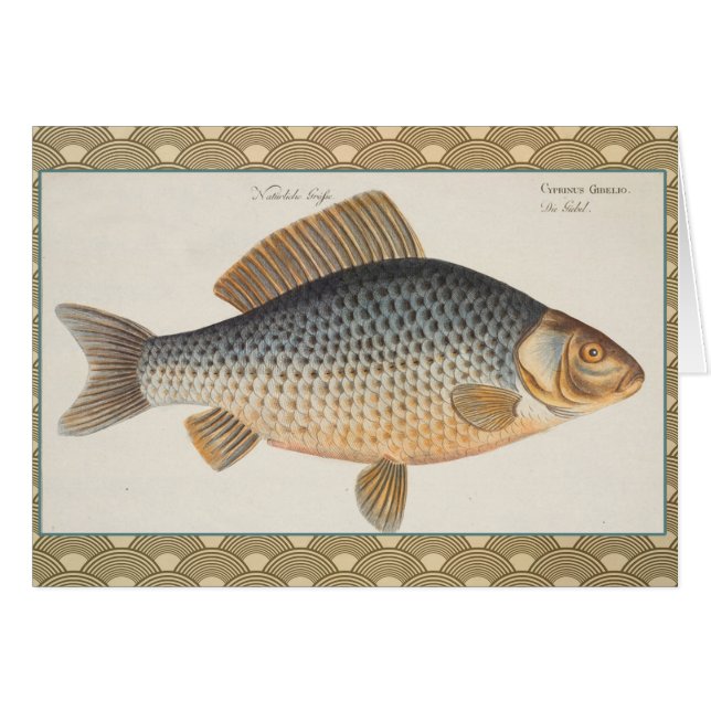 peinture de pêche de carpe dessin d'eau douce  (Devant horizontal)