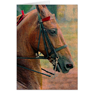 Peinture des Faux selles