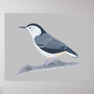 Peinture d'oiseaux nuthatch sur les affiches mural