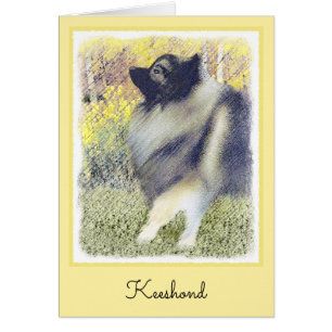 Peinture en teint de Keeshond - jolie art original