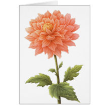 Peinture florale à fleurs Orange Dahlia