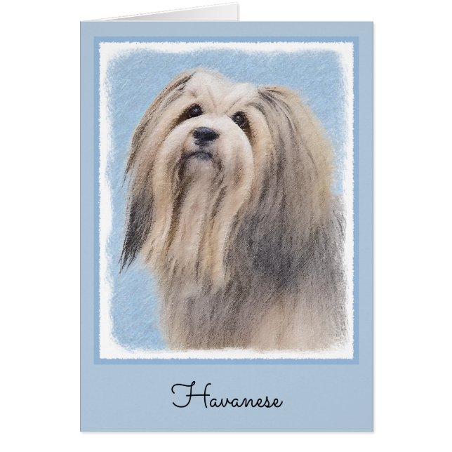Peinture Havanaise (Argent) - Cute Original Chien  (Devant)