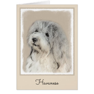 Peinture Havanaise (Gold Sable) - Art Chien origin