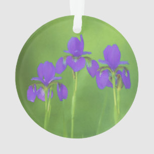 Peinture Iris Violet - Art Fleur Originale
