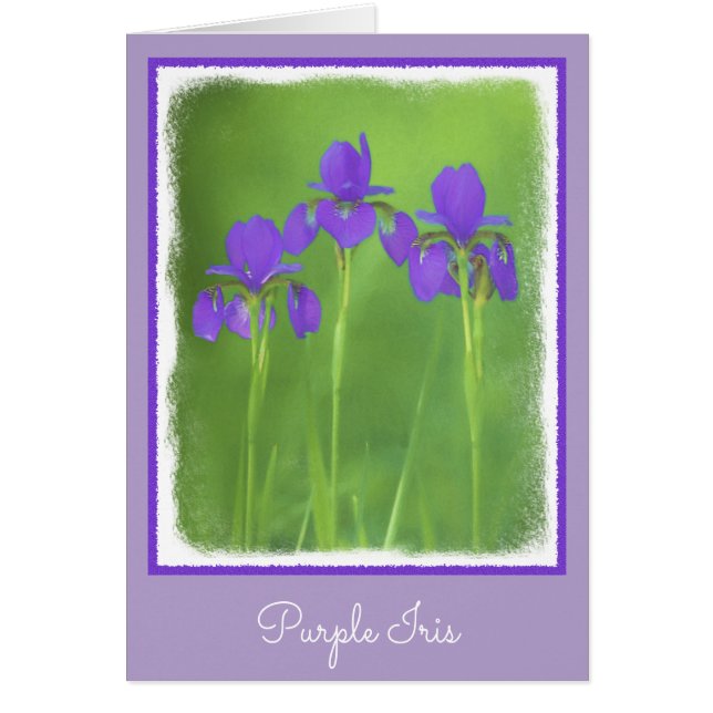 Peinture Iris Violet - Art Fleur Originale (Devant)