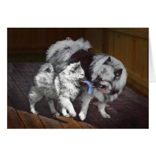 Peinture Keeshond Playtime - Jolie art original ch (Devant horizontal)