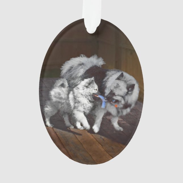 Peinture Keeshond Playtime - Jolie art original ch (dos)