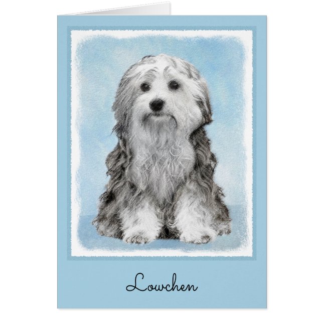 Peinture Lowchen - Cute Original Chien Art (Devant)
