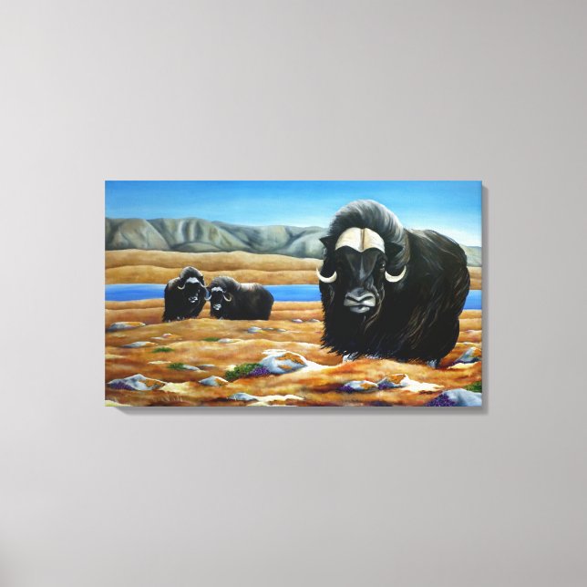 Peinture Muskox toile canadienne de la faune Impri (Recto)