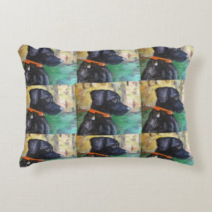 Peinture noire douce de laboratoire sur le coussin