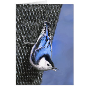 Peinture Nuthatch à poitrine blanche Art original