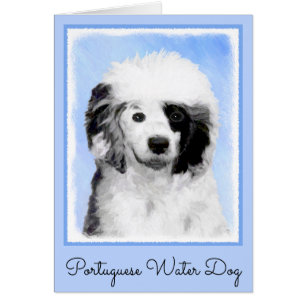 Peinture Portugaise de Chien d'Eau - Art original 