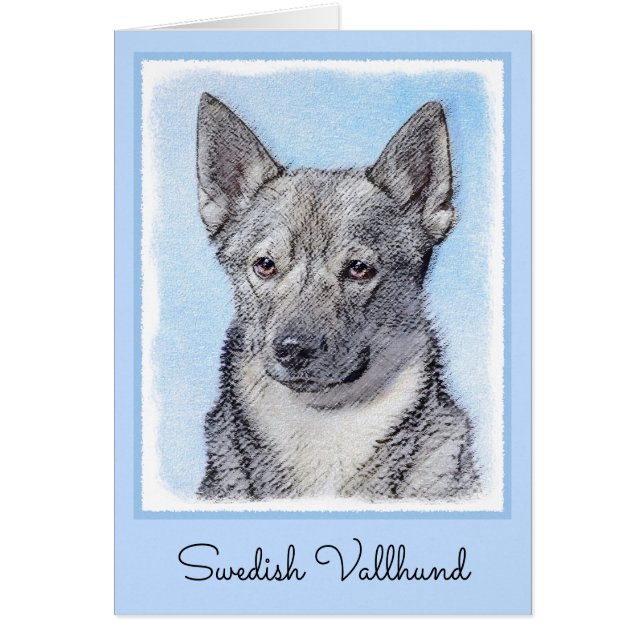 Peinture Suédoise Vallhund - Cute Original Chien A (Devant)