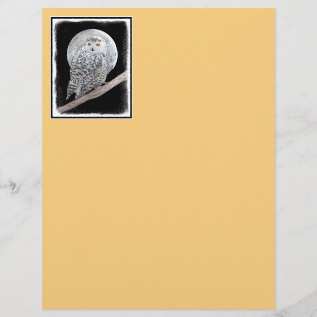 Peinture sur la Chouette neigeuse et la Lune - Art (Devant)