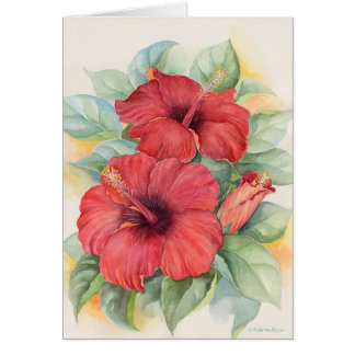 Peinture tropicale de fleur de ketmie rouge -