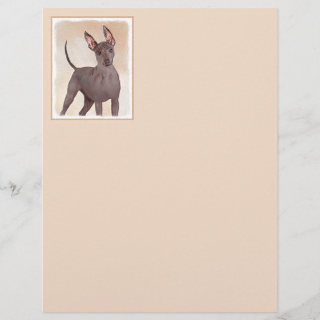 Peinture Xoloitzcuintli - Cute Original Chien Art (Devant)