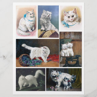 Peintures Vintages pour chats blancs authentiques 
