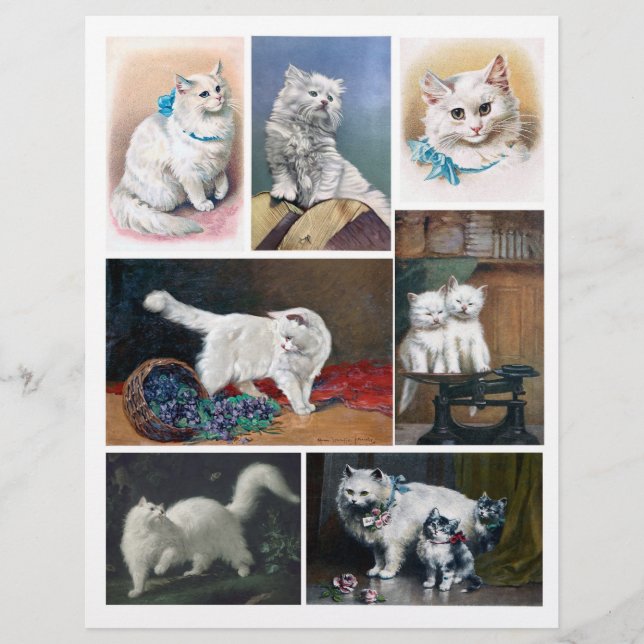 Peintures Vintages pour chats blancs authentiques  (Devant)