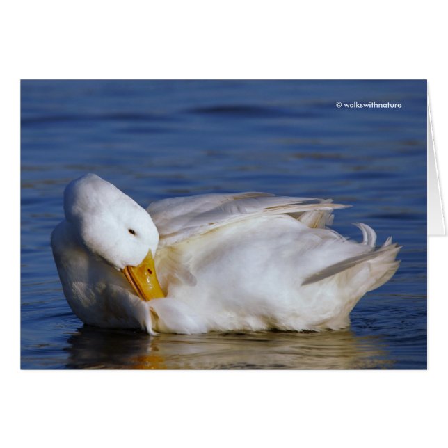 Pékin Canard souriant Mona Lisa sourire au soleil (Devant horizontal)