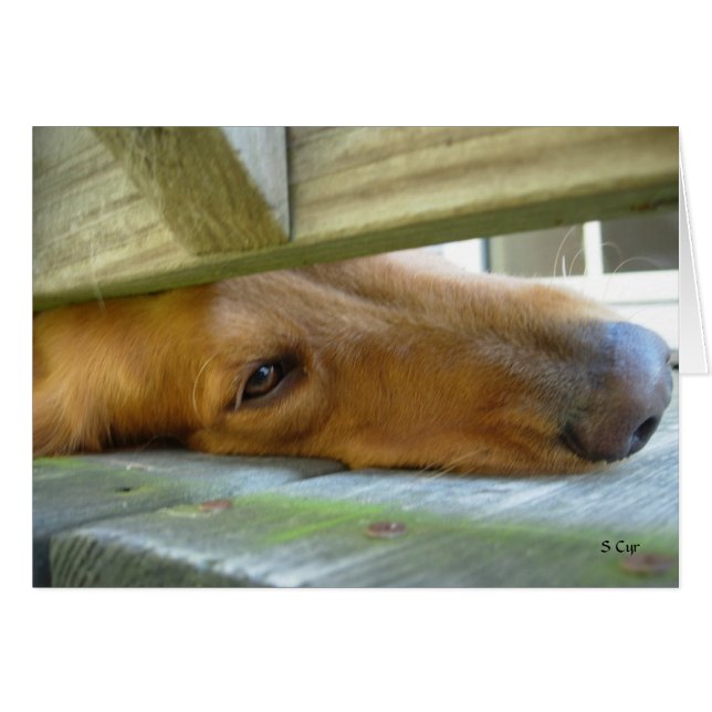 Pékin, S Cyr (Devant horizontal)