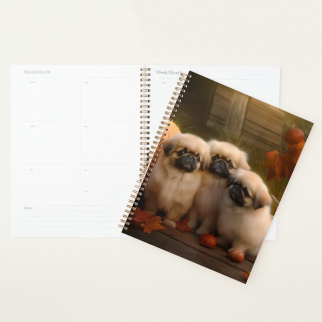 Pekingese Chiot Automne Citrouille délice (Devant avec enveloppe)