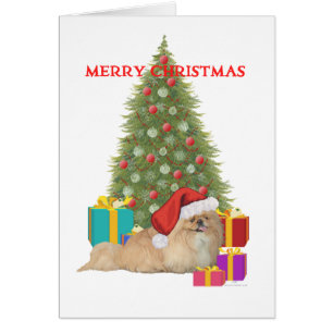 Pekingese Joyeux Noël