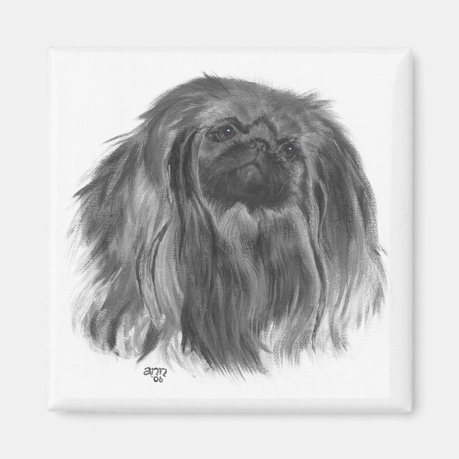 Pekingese Magnet (Devant)