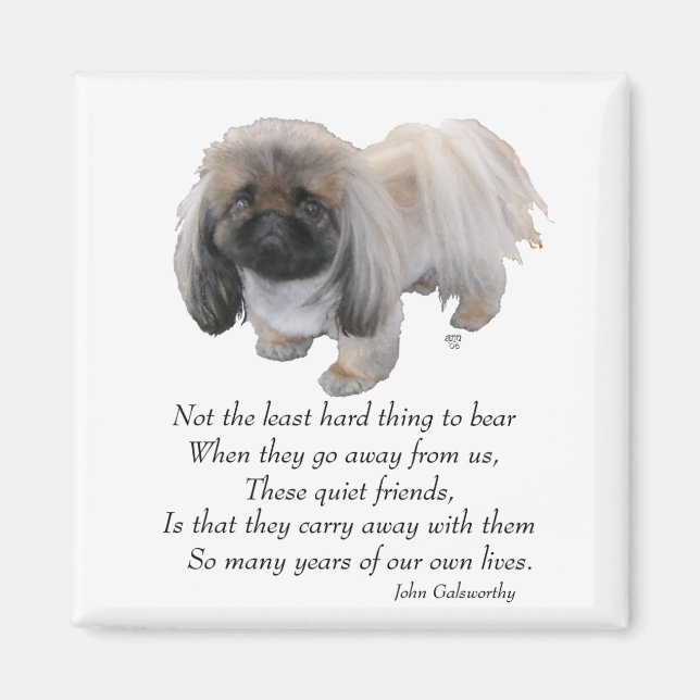 Pekingese Magnet (Devant)