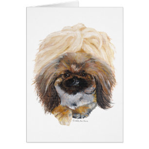 Pekingese Tuffy
