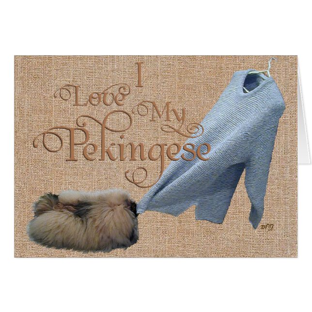 Pekingese Tug-O-War (Devant horizontal)