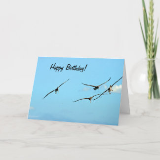 Pélican Anniversaire 1 Carte