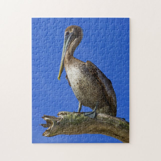 Pélican au puzzle (Vertical)
