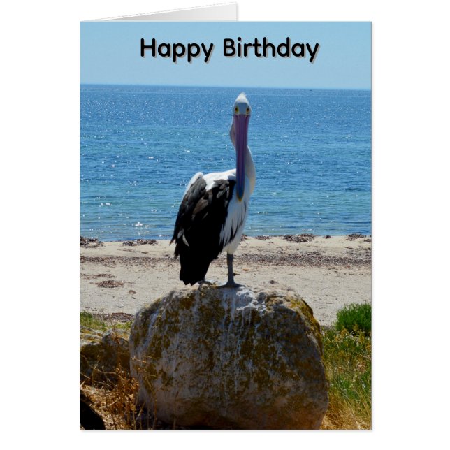 Pélican Avec Le Regard, Carte D'anniversaire (Devant)