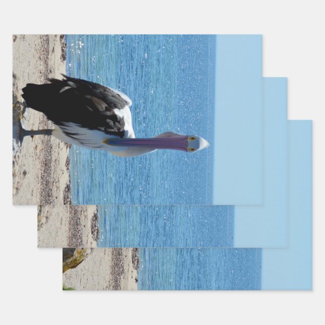 Pélican Avec "Look", Feuilles Cadeaux (Lot)