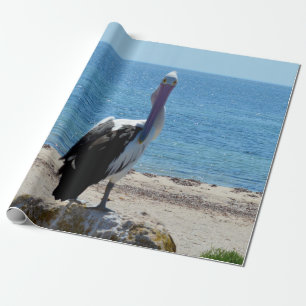 Pélican Avec "Look", Papier Cadeau