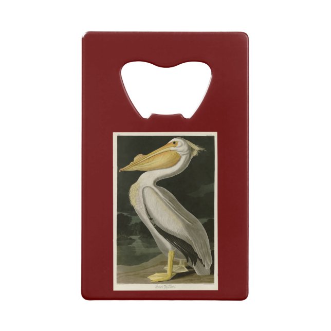 Pélican blanc américain, les oiseaux d'Amérique d' (Devant)
