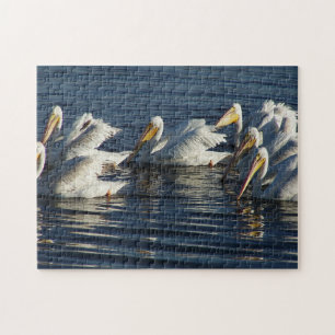 Pélican blanc Oiseau sauvage Puzzle animalier