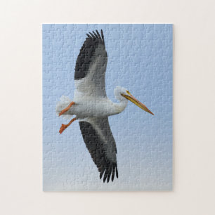 Pélican Puzzle 11x14