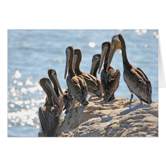Pelican Rock (Devant horizontal)