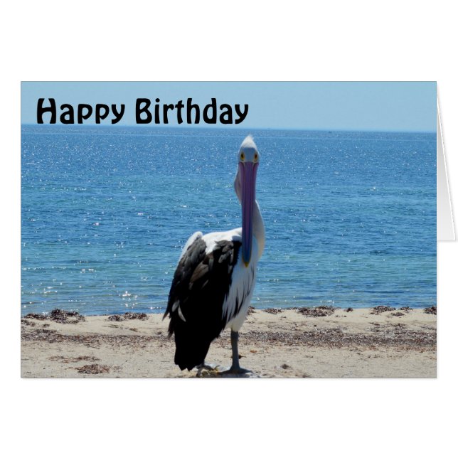 Pélican Stare Down, carte d'anniversaire (Devant horizontal)