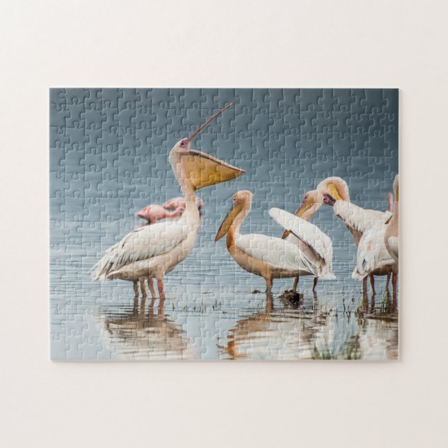 Pélicans par le puzzle de lac (Horizontal)