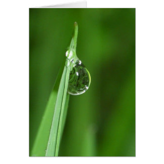 Pelouse verte et gouttelette d'eau avec réflexion