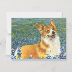 Pembroke Welsh Corgi au Texas Bluebonnets