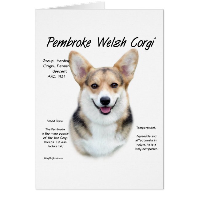 Pembroke Welsh Corgi Conception de l'histoire (Devant)