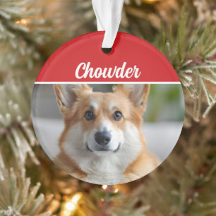 Pembroke Welsh Corgi Nom de la photo Fête de Noël