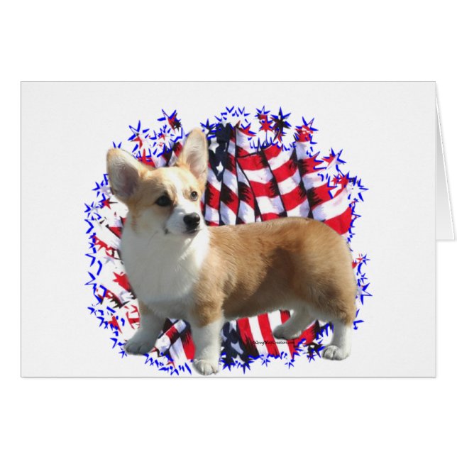 Pembroke Welsh Corgi Patriot (Devant horizontal)