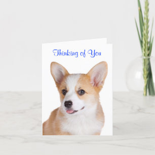 Pembroke Welsh Corgi Penser À Votre Carte De Voeux