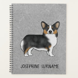 Pembroke Welsh Corgi tricolore noir avec votre nom