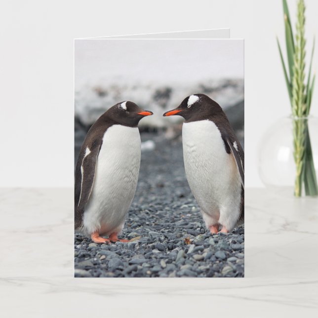 PENGUIN AMITIÉ FRIEND Carte de voeux (Devant)